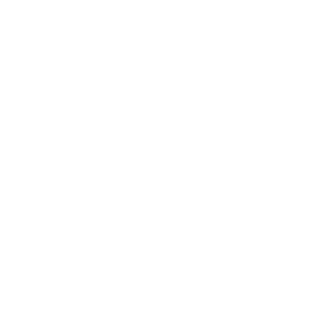 Instituto i2i